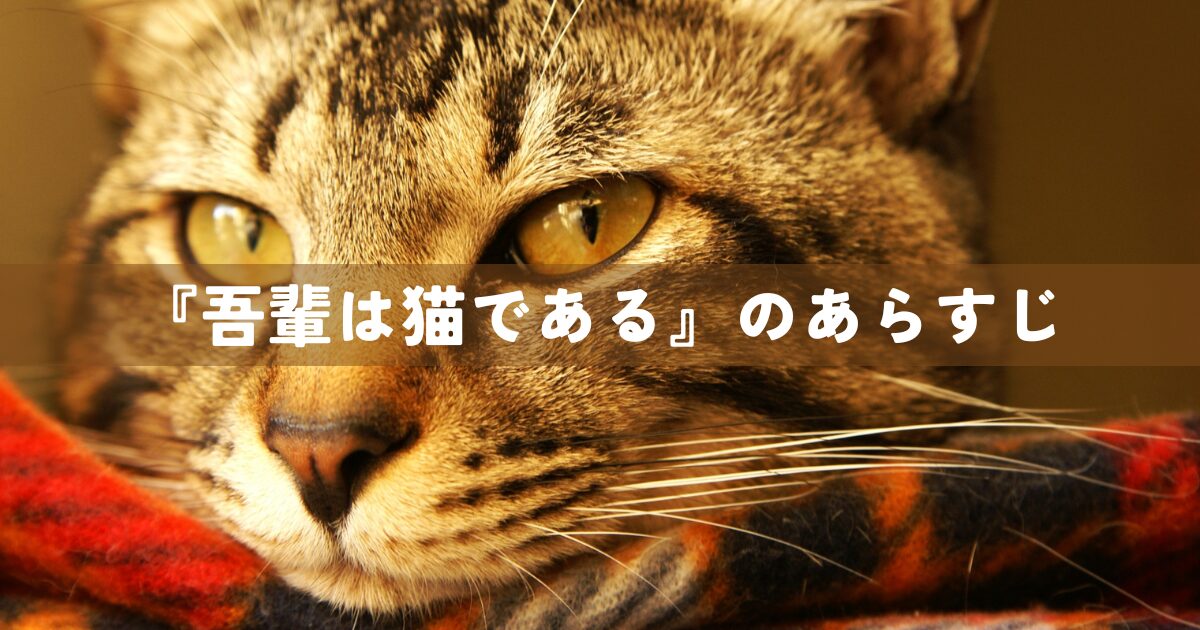 「吾輩は猫である」のあらすじ