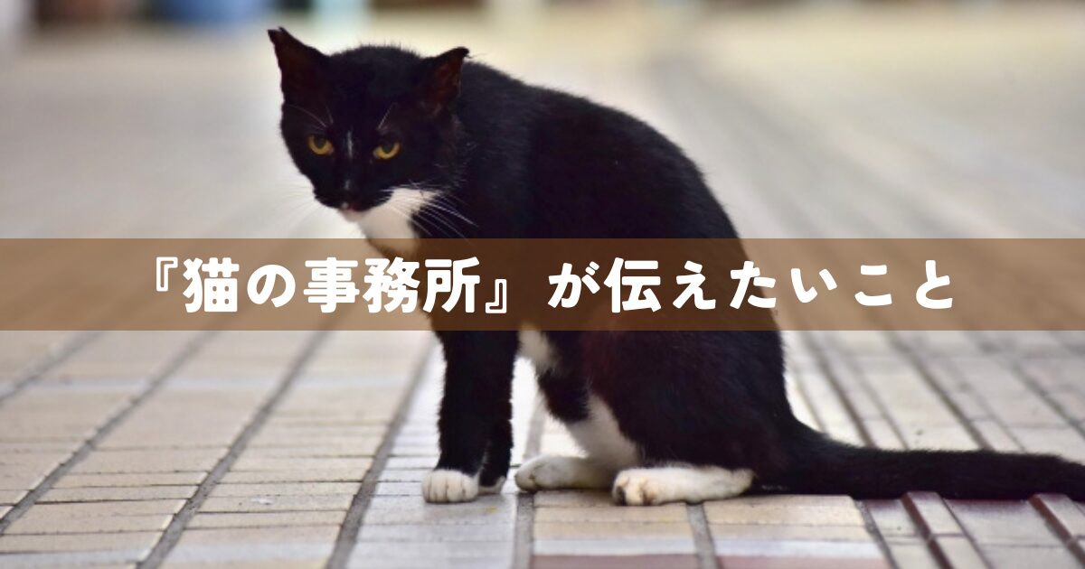 『猫の事務所』が伝えたいこと