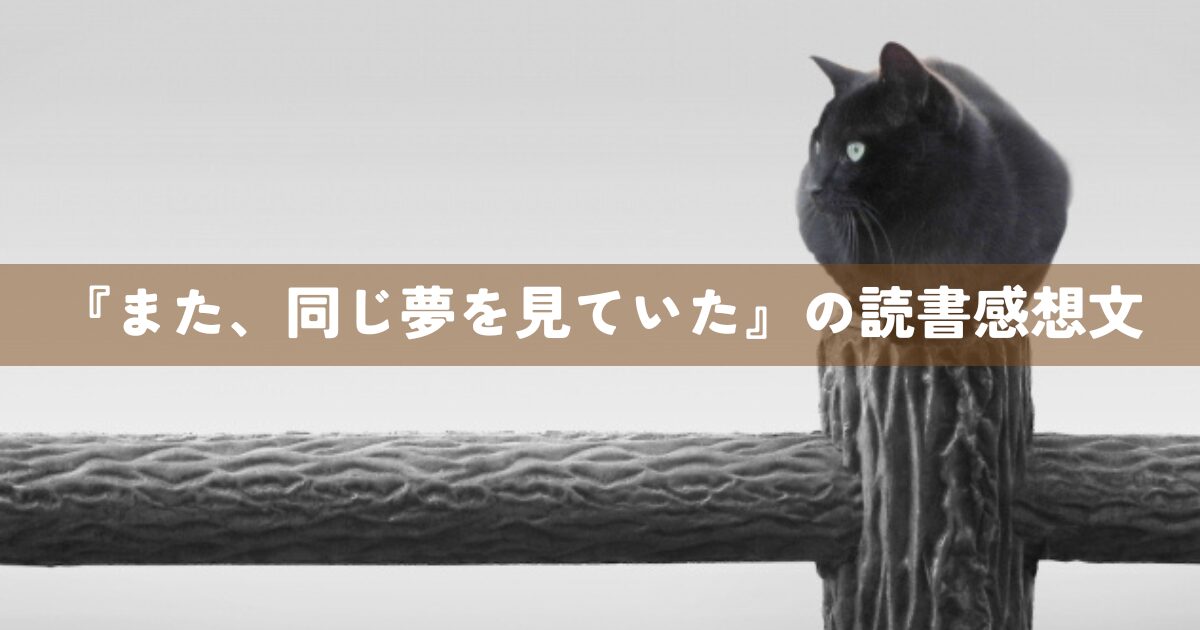 『また、同じ夢を見ていた』の読書感想文