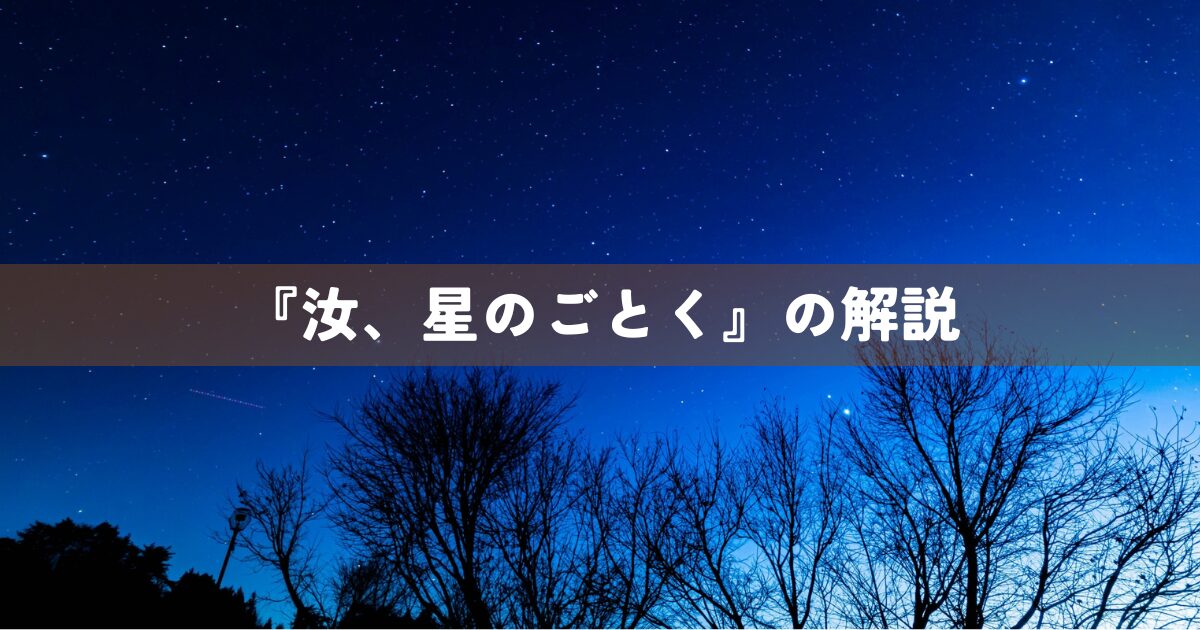 『汝、星のごとく』の解説
