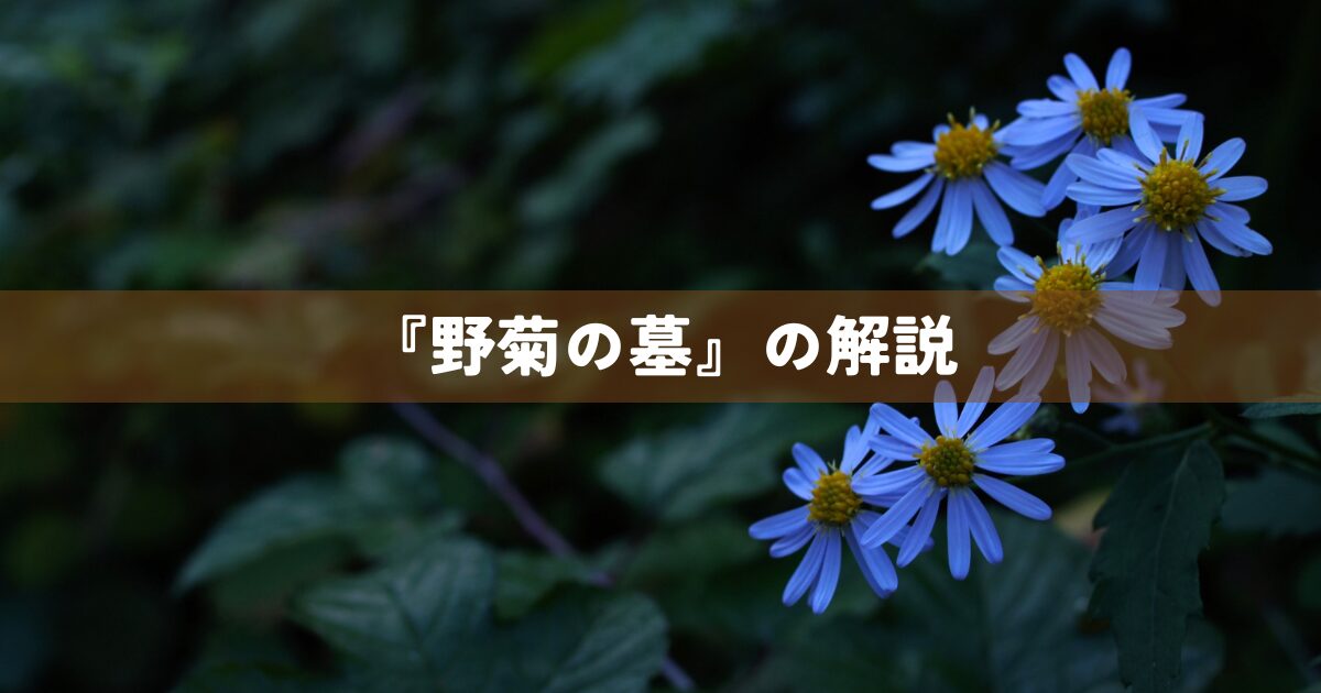 『野菊の墓』の解説