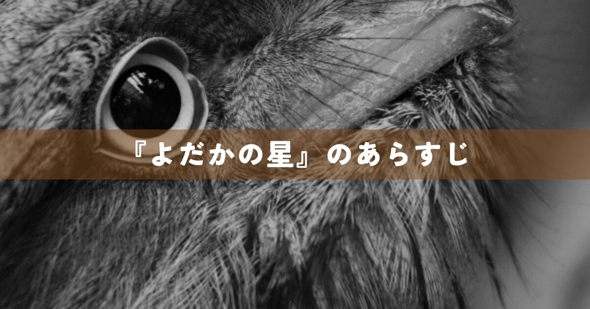 『よだかの星』のあらすじ