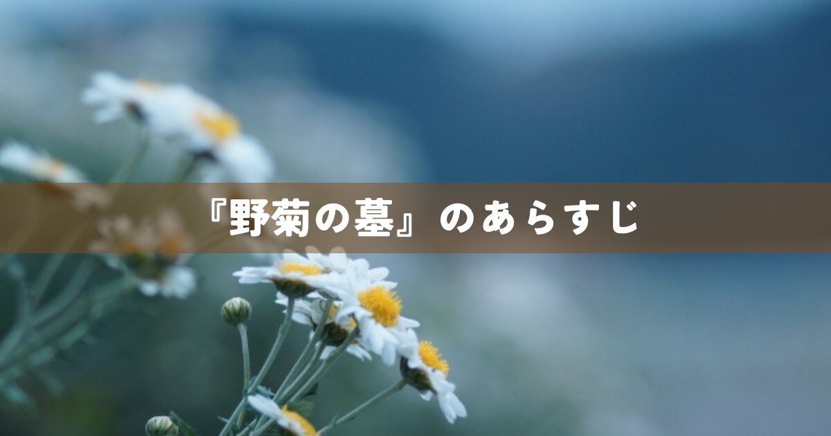 『野菊の墓』のあらすじ