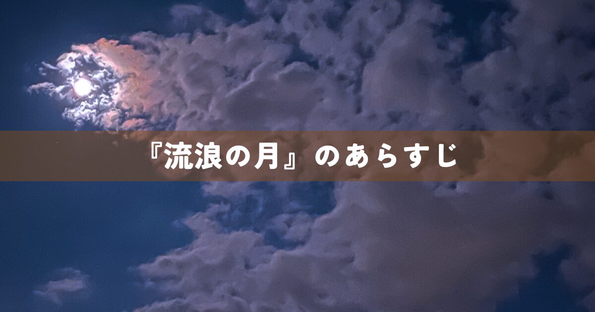 『流浪の月』のあらすじ