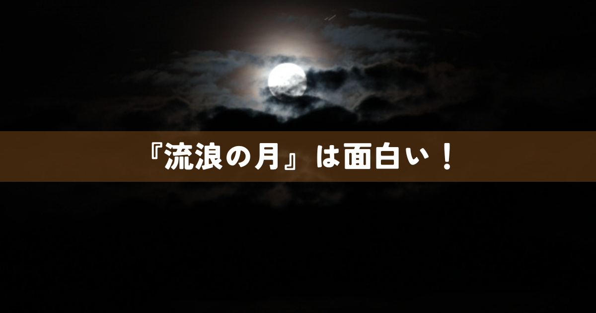 『流浪の月』は面白い！
