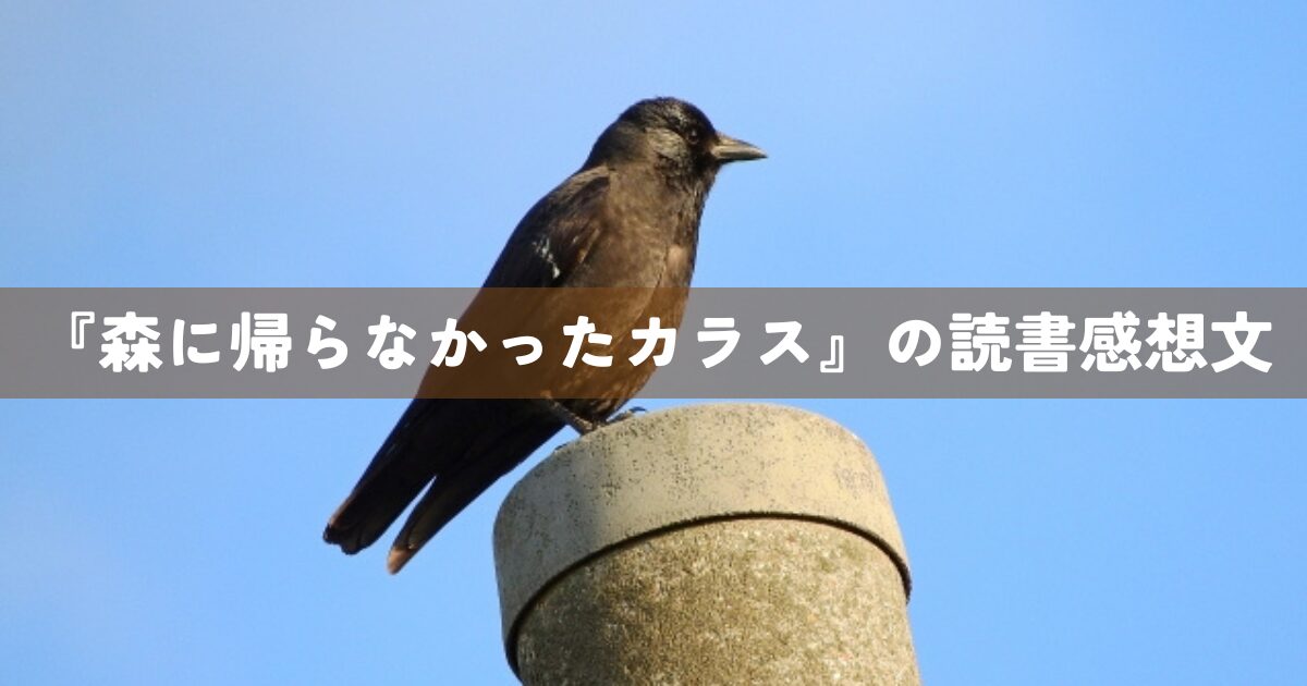 『森に帰らなかったカラス』の読書感想文