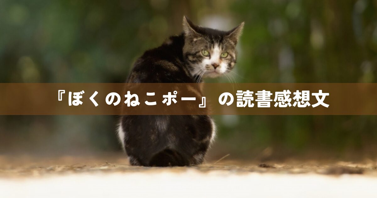『ぼくのねこポー』の読書感想文