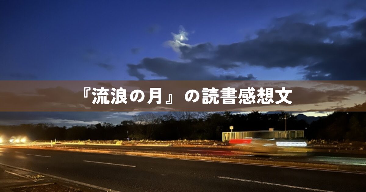 『流浪の月』の読書感想文