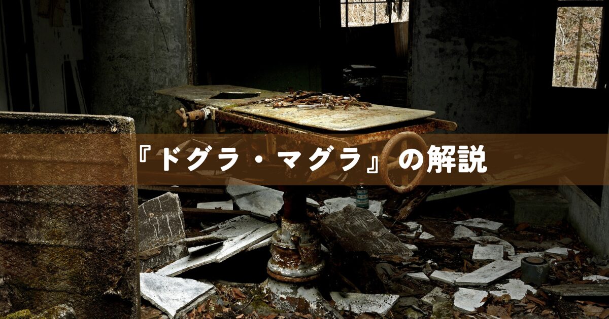 『ドグラ・マグラ』の解説