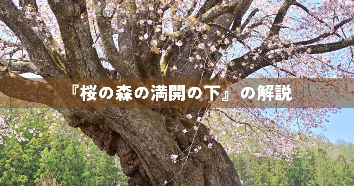 『桜の森の満開の下』の解説