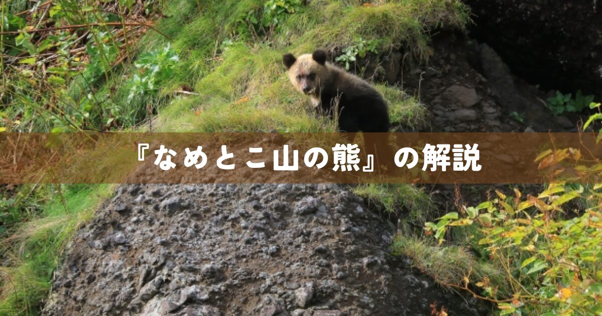 『なめとこ山の熊』の解説