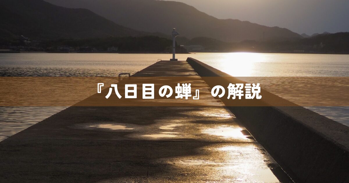 『八日目の蝉』の解説