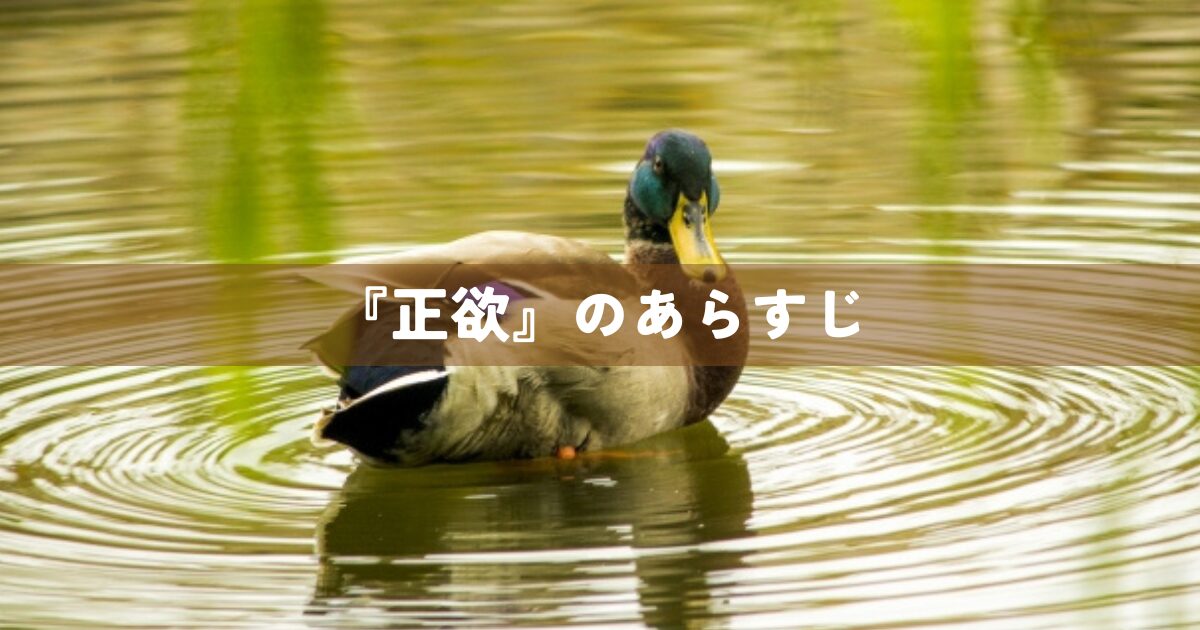 『正欲』のあらすじ