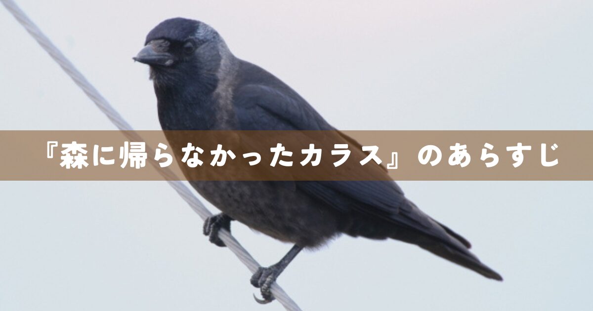 『森に帰らなかったカラス』のあらすじ