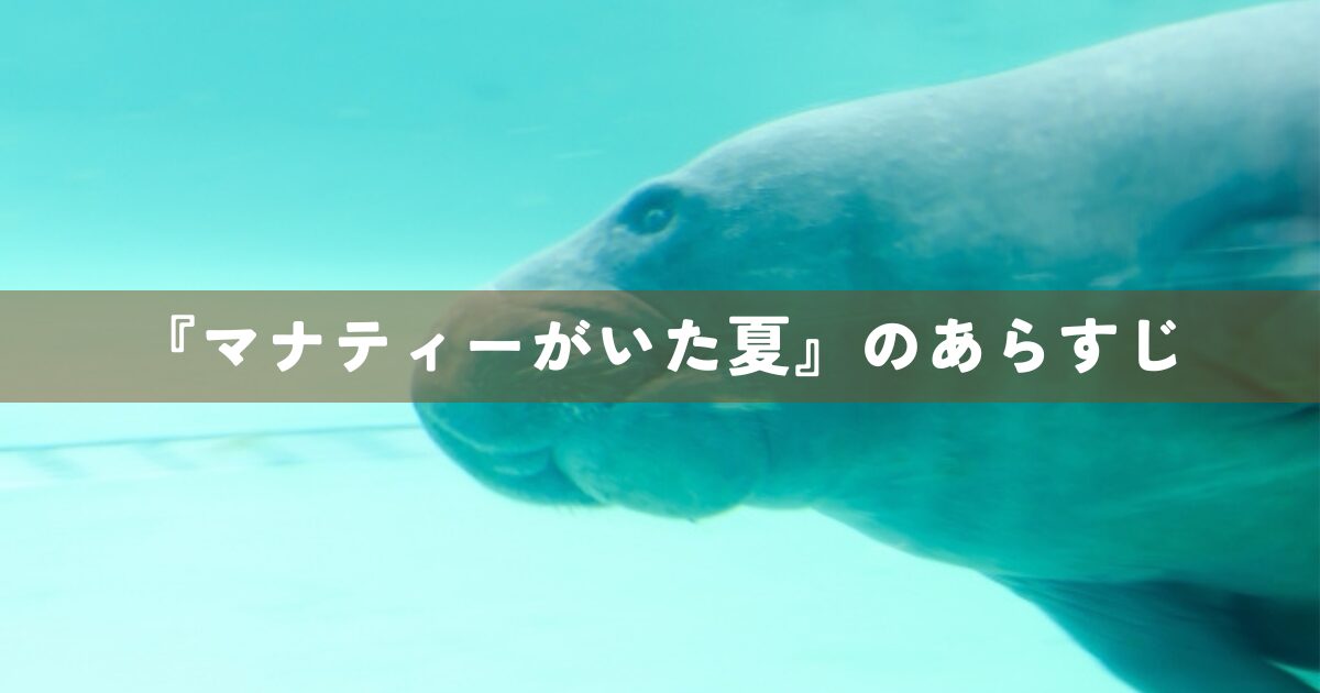 『マナティーがいた夏』のあらすじ