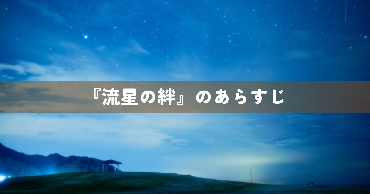 『流星の絆』のあらすじ