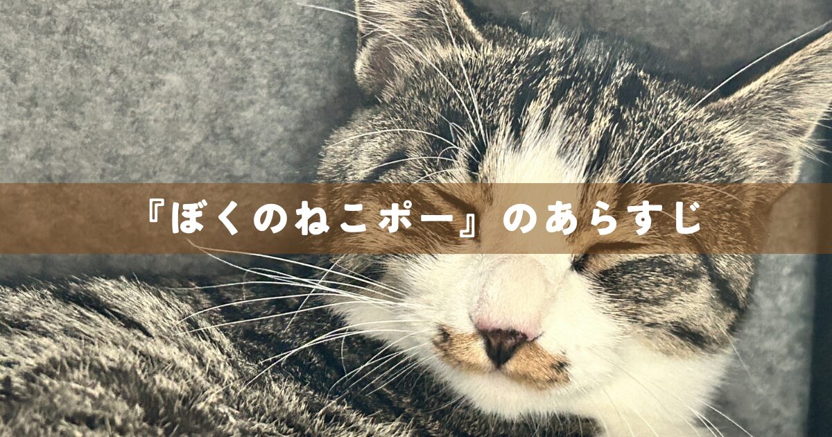 『ぼくのねこポー』のあらすじ