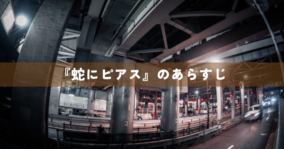 『蛇にピアス』のあらすじ