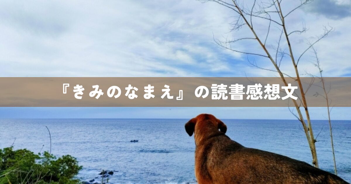 『きみのなまえ』の読書感想文