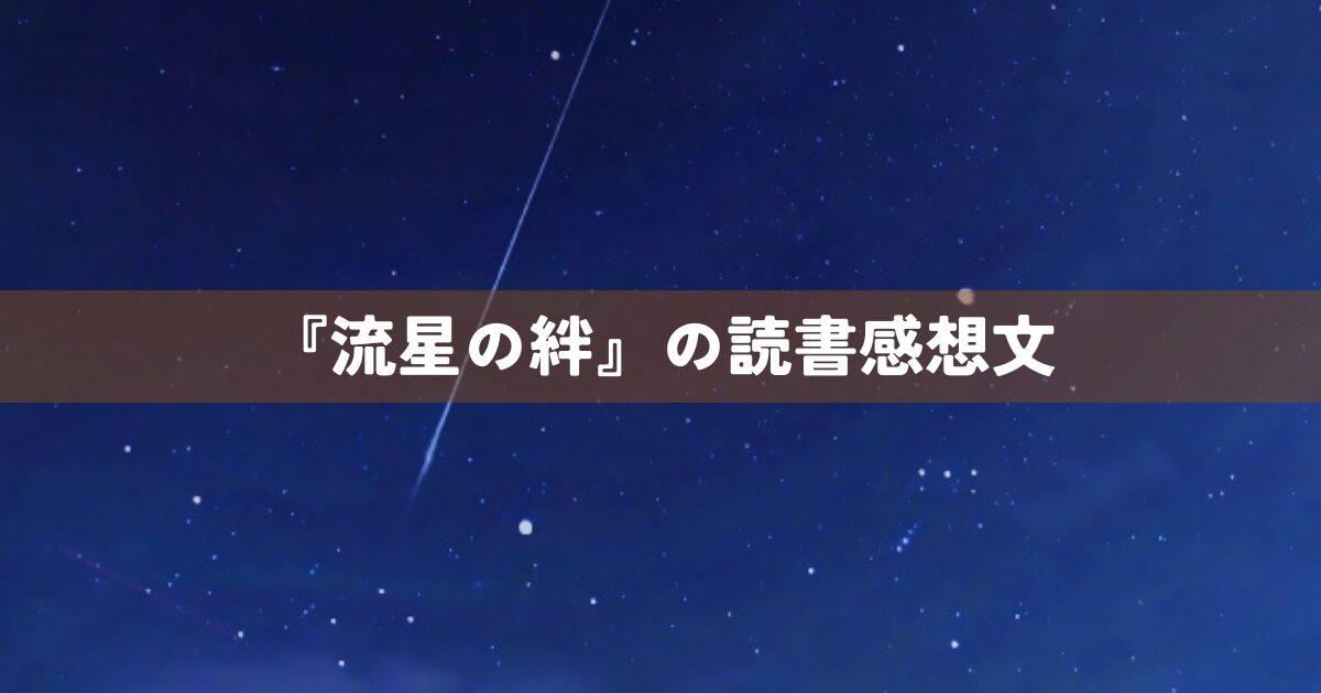 『流星の絆』の読書感想文