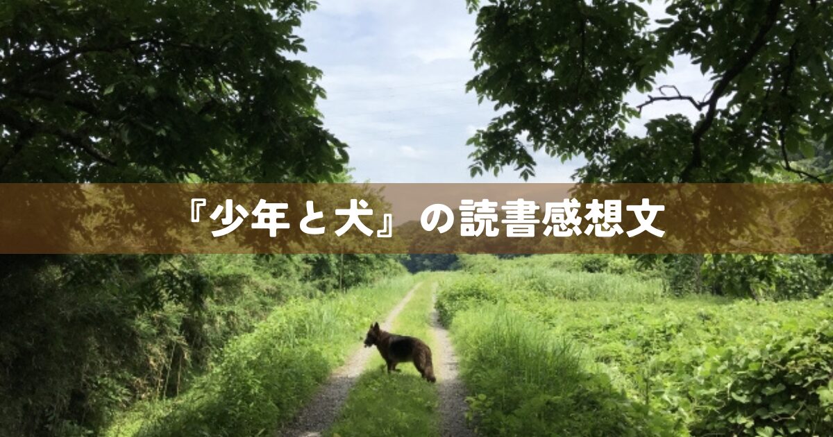 『少年と犬』の読書感想文