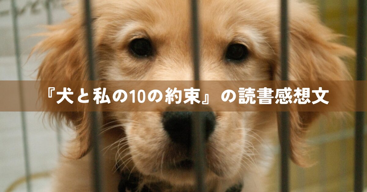 『犬と私の10の約束』の読書感想文
