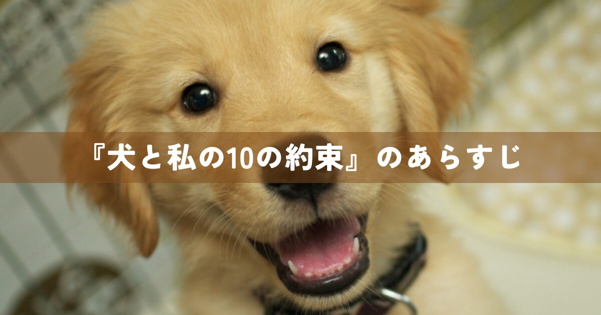 『犬と私の10の約束』のあらすじ