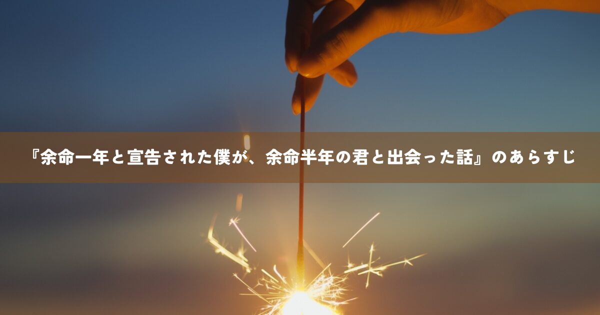 『余命一年と宣告された僕が、余命半年の君と出会った話』のあらすじ