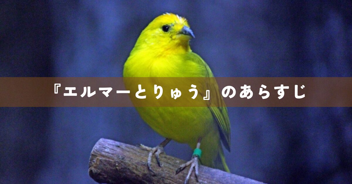 『エルマーとりゅう』のあらすじ