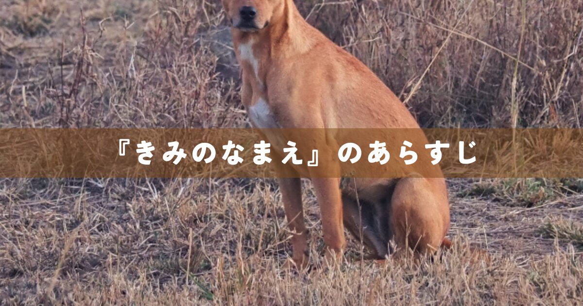 『きみのなまえ』のあらすじ