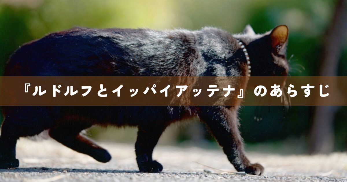『ルドルフとイッパイアッテナ』のあらすじ
