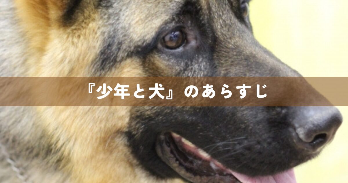 『少年と犬』のあらすじ