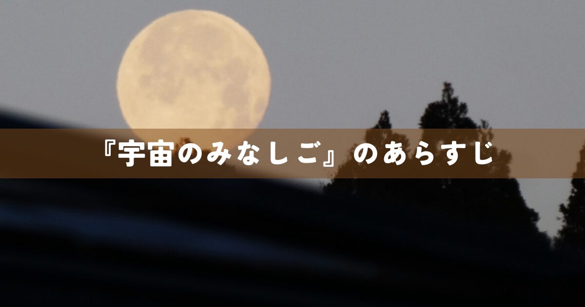 『宇宙のみなしご』のあらすじ