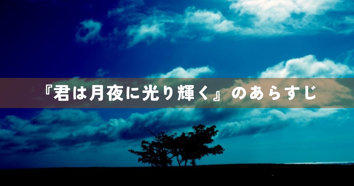 『君は月夜に光り輝く』のあらすじ