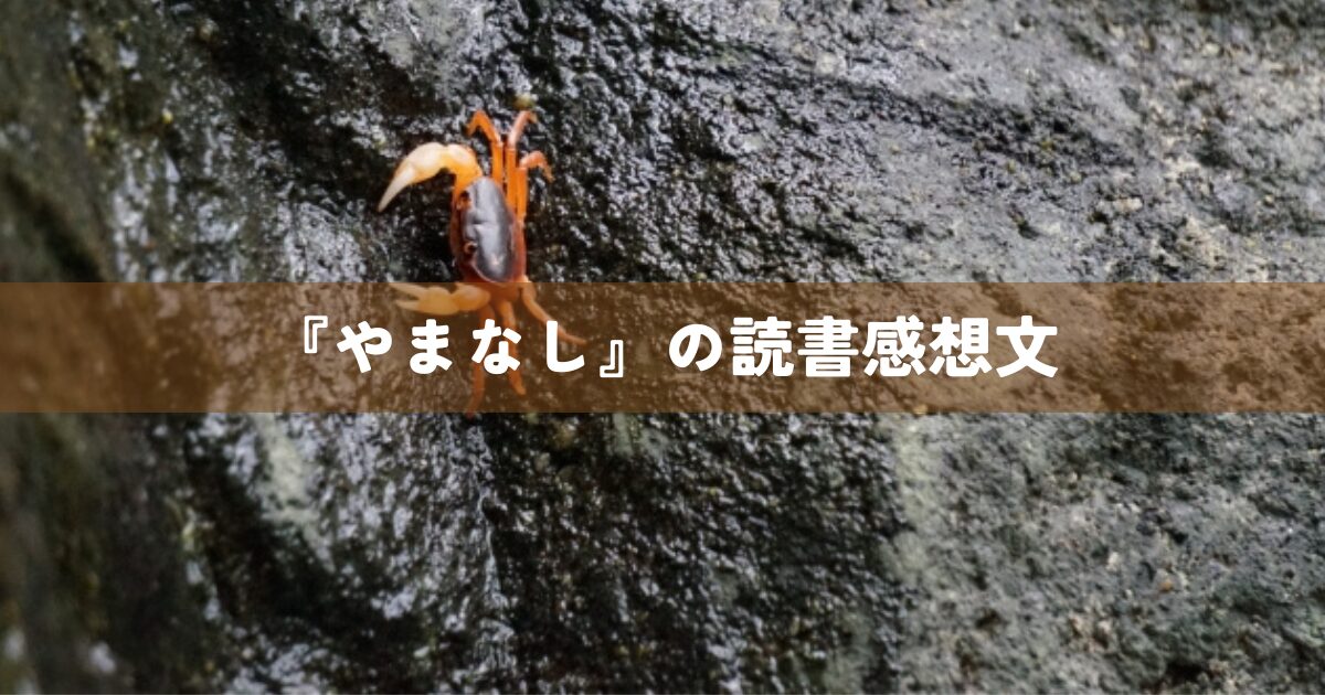 『やまなし』の読書感想文