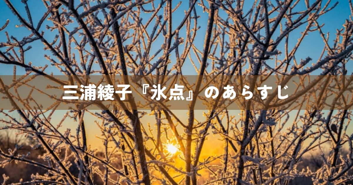 三浦綾子の小説『氷点』のあらすじ
