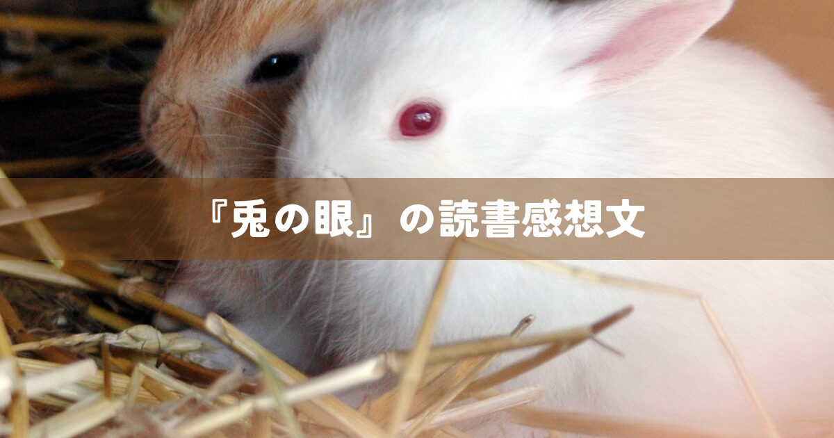 『兎の眼』の読書感想文