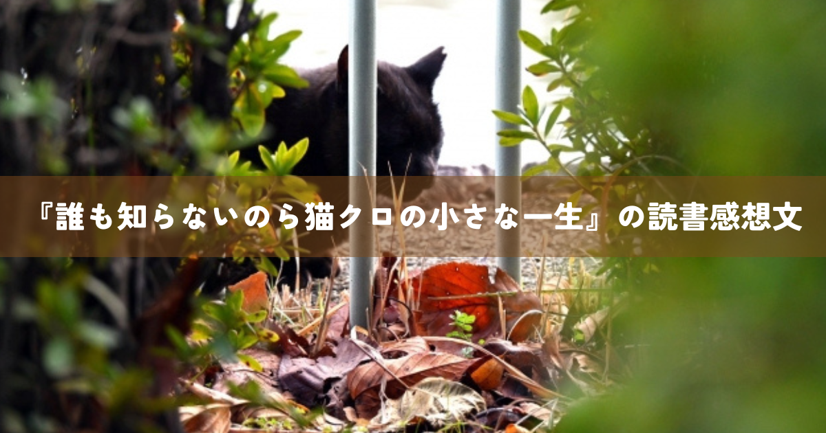 『誰も知らないのら猫クロの小さな一生』の読書感想文